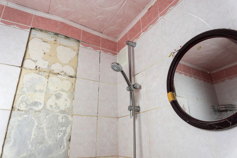 Top Shower Remodeling Companies in Kirkland, WA